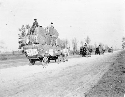 Bales of cotton and wood on the public road leading to Charlotte, NC, ca. 1890. From the H. H. Brimley Photo Collection, North carolina State Archives, call #:  PhC42.Bx21.Scenic Central NC.F40. 