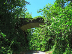 "Helen's Bridge, supposedly haunted, on the crest of Beaucatcher Mountain." Image courtesy of Flickr user Richard Butner. 