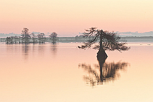 Sunrise on Lake Mattamuskeet