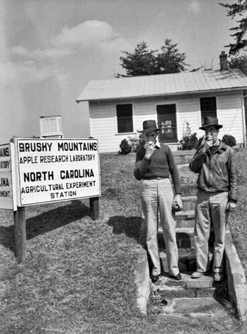 Apple Research Laboratory, Wilkes County, 1941. North Carolina State University Archives Photograph Collection.