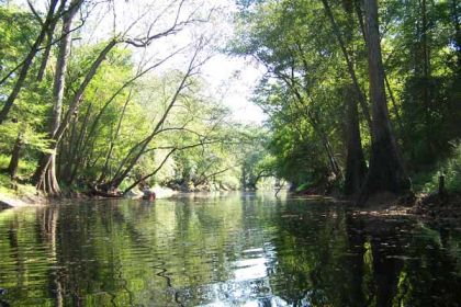 "Trent River beginning at Comfort, NC  to Chinquapin Chapel Road, State Road # 1129 bridge." Photo courtesy of Waterway Stewards. 